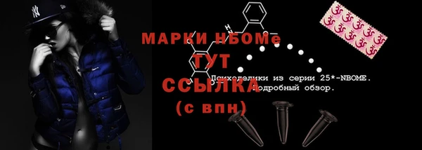 a pvp Новозыбков