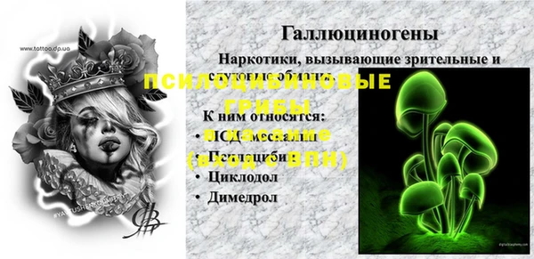 a pvp Новозыбков