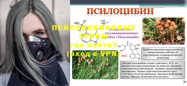 a pvp Новозыбков