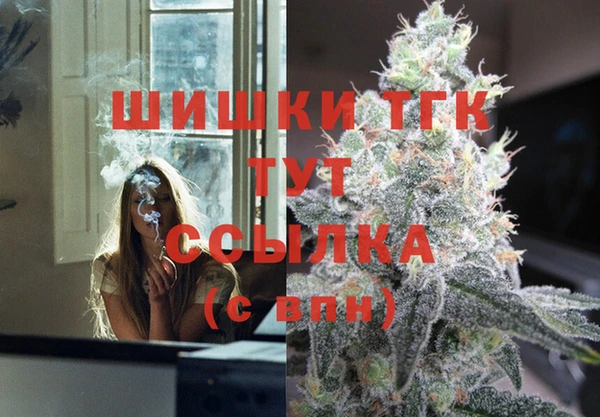 a pvp Новозыбков