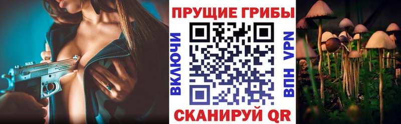 blacksprut как войти  Прокопьевск  Псилоцибиновые грибы Magic Shrooms 