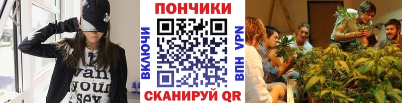 Шишки марихуана гибрид Прокопьевск